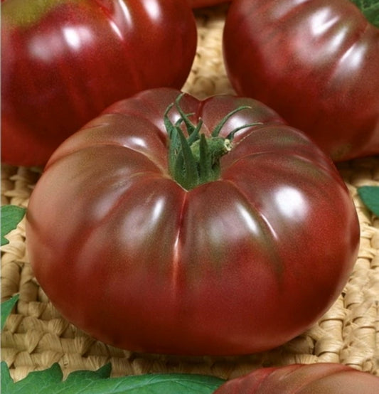 Tomato seeds Black Prince SW262