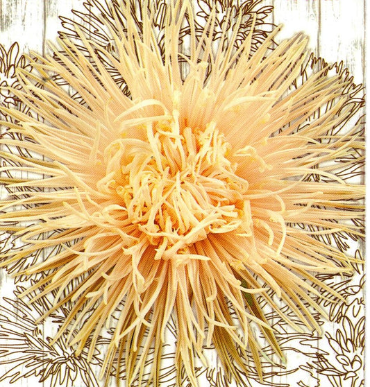 Aster seeds Brunhilde, about 120 Aster seeds, Organic heirloom SW928