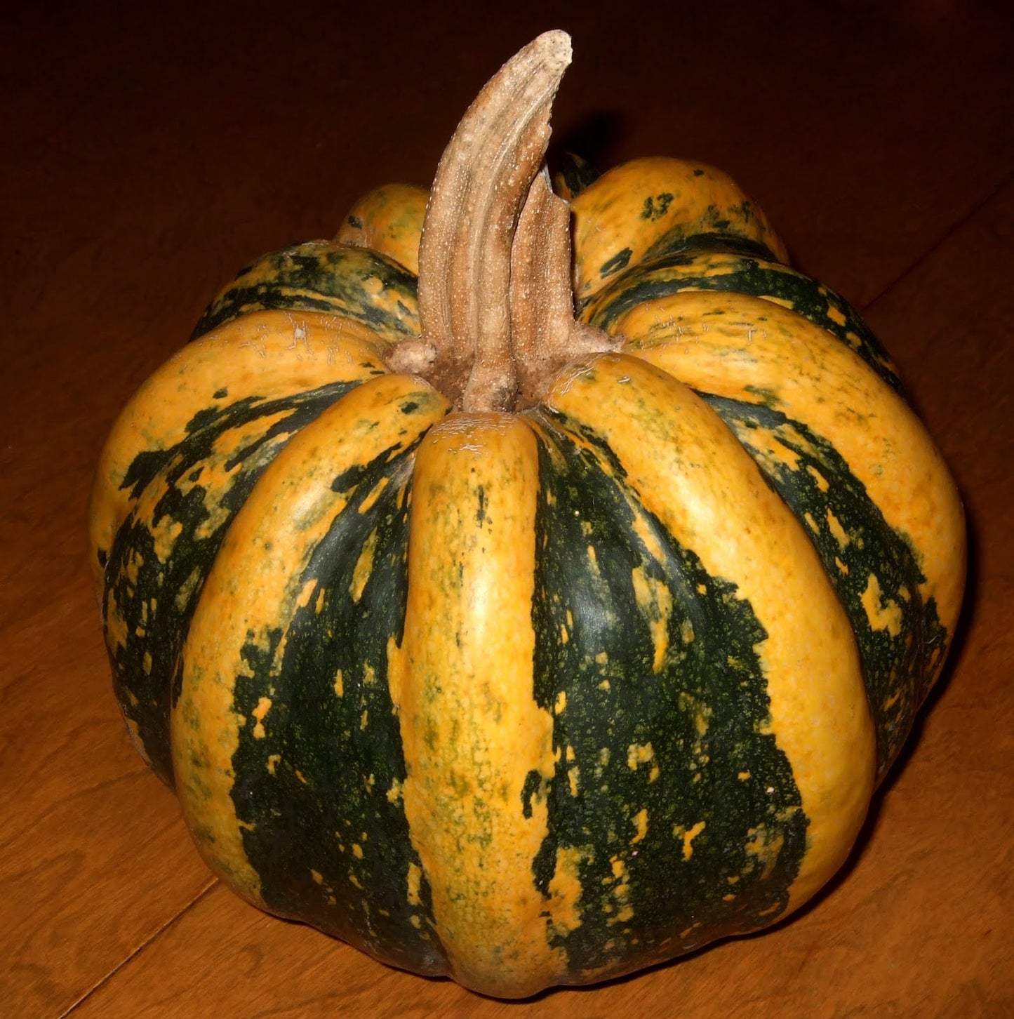 Pumpkin Tonda Padana seeds, organic seeds SW904