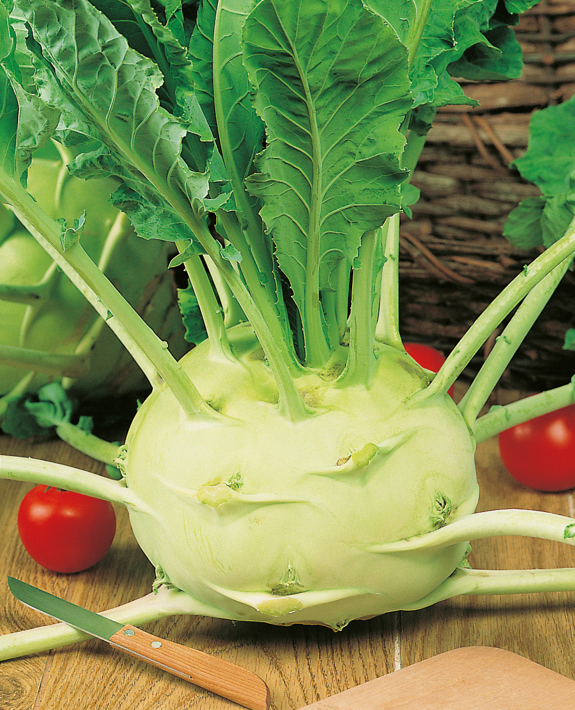 Cabbage Kohlrabi Gigant seeds SW881