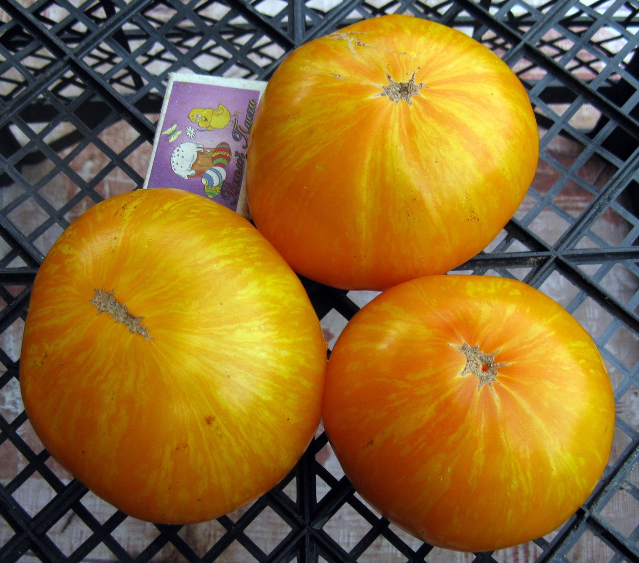 Tomato seeds set №6 White Giant SW907, Cio-Cio-San SW908, Yellow Zebra SW909, De Barao black SW910 - SW1024