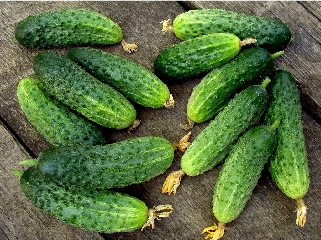 Cucumber seeds set №4 Parisian Cornichon SW959, Chernobryvtsy SW893, Chinese kite SW916, Game SW886 - SW1017