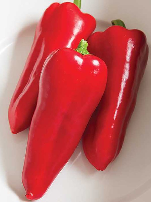 Pepper seeds,  0,25g Sweet pepper Atlant, organic pepper seeds SW977