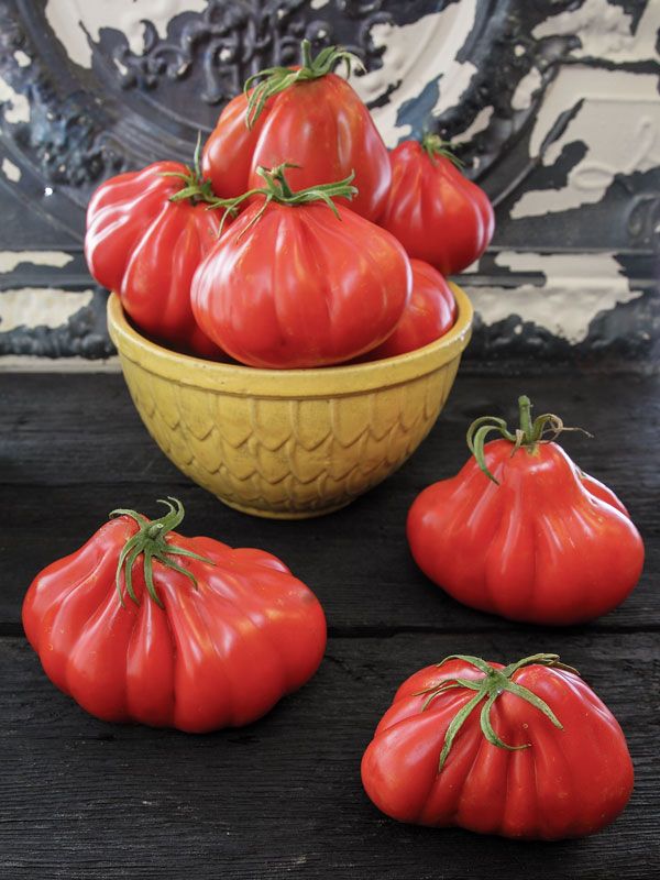 Tomato seeds set №5 Gargamel SW870, Monomakh Hat SW869, Shar Pei SW871, Triumph SW906 - SW1023