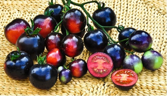 Tomato seeds set №7 Blevo SW868, Rio Fuego SW816, Truffle amber SW911, Millionaire SW912 - SW1025