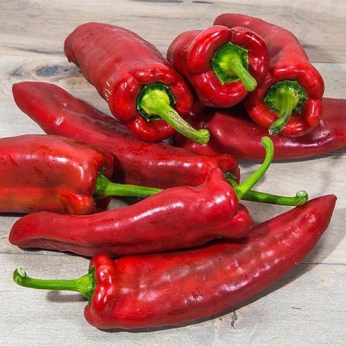 Pepper seeds, 250 Pepper for grill, organic pepper seeds SW1048