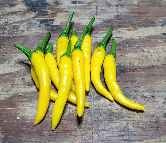 Pepper seeds, 250 Pepper Hungary Yellow hot, organic pepper seeds SW1053