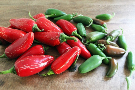 Pepper seeds, 250 JALAPENO Pepper hot, organic pepper seeds SW1054