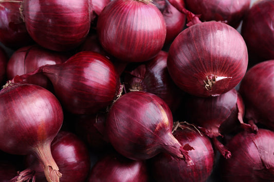 Onion seeds, rare onion Rainbow, ruby red onion SW244