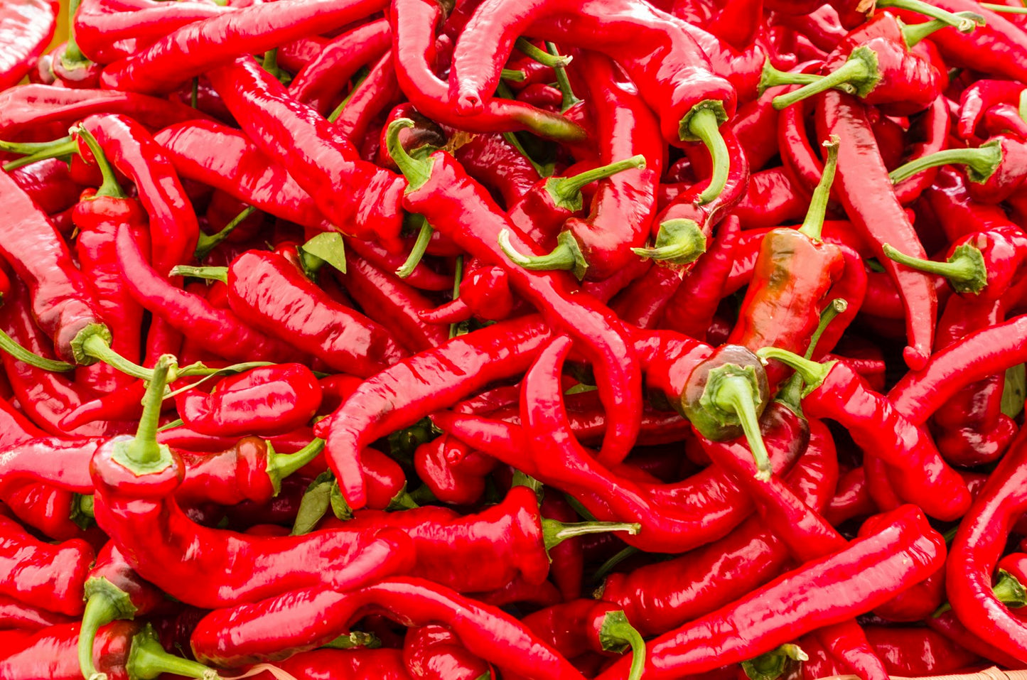 Pepper Hot CAYENNE seeds SW884