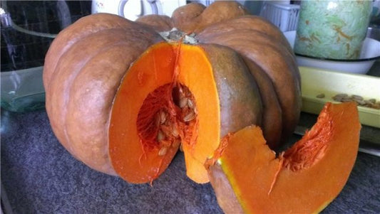 Pumpkin Muscat de Provence seeds, organic seeds  SW94