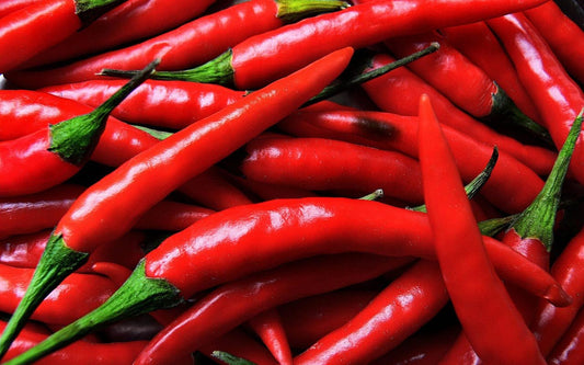 Pepper Chili seeds, 250 Ukrainian Chili pepper Seeds SW114